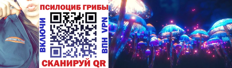 Купить  Екатеринбург  Галлюциногенные грибы Magic Shrooms 